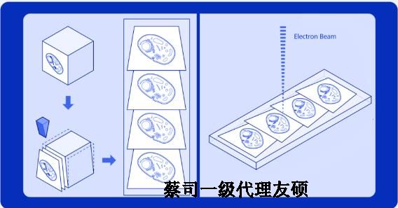 廊坊蔡司廊坊扫描电镜